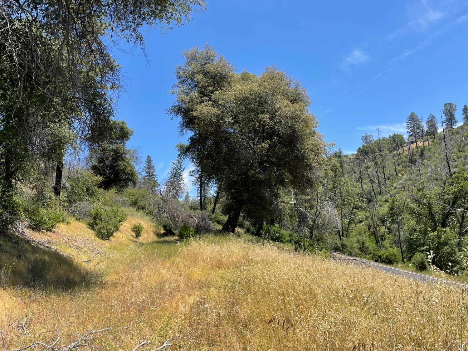 5825 Mountain Ranch Road San Andreas, CA 95249 - Photo 7 of 10 Proceeding up the driveway,
