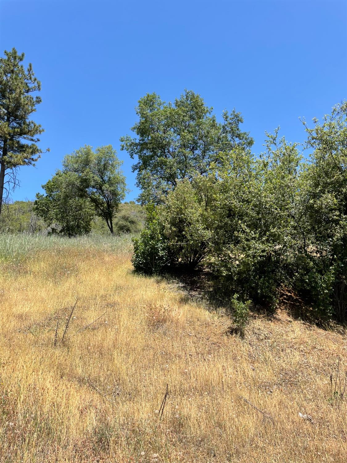 5825 Mountain Ranch Road San Andreas, CA 95249 - Photo 8 of 10 Numerous open sites,