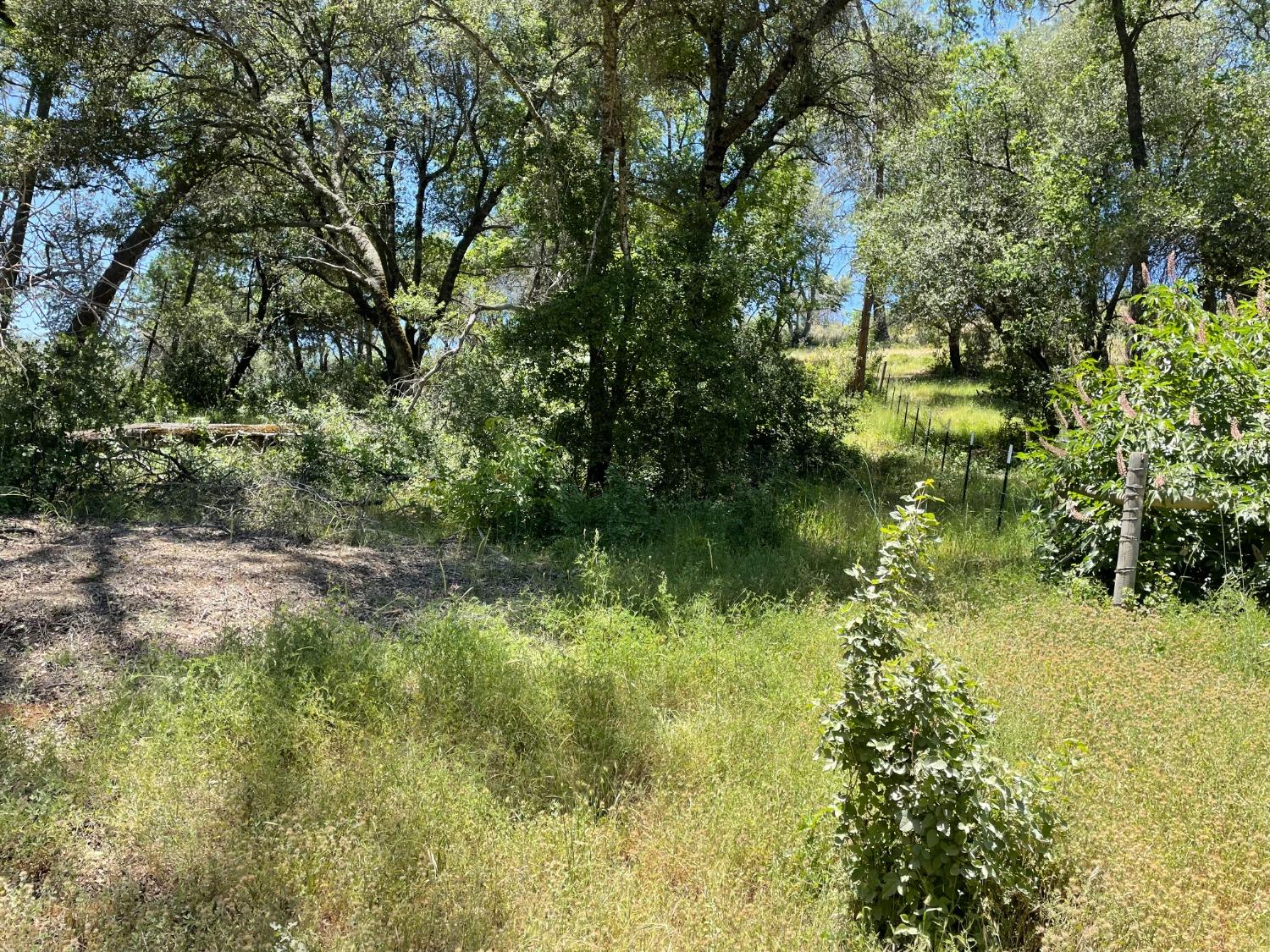 5825 Mountain Ranch Road San Andreas, CA 95249 - Photo 9 of 10 Property corner that touches the neighbor's driveway.
