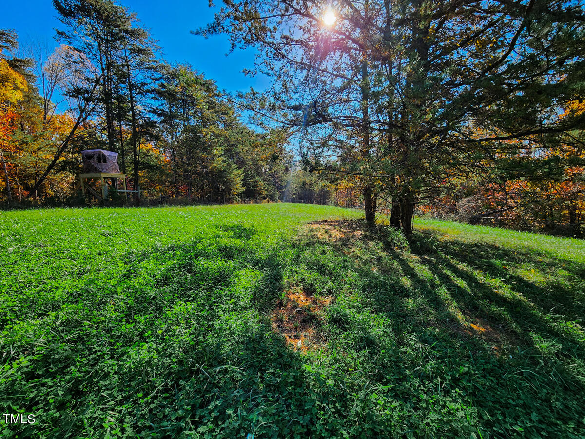 1254 Anglin Mill Road Stoneville, NC 27048 - Photo 21 of 92 19