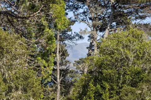 $1,725,000 | 95 Via De La Vista, Inverness, CA 94937