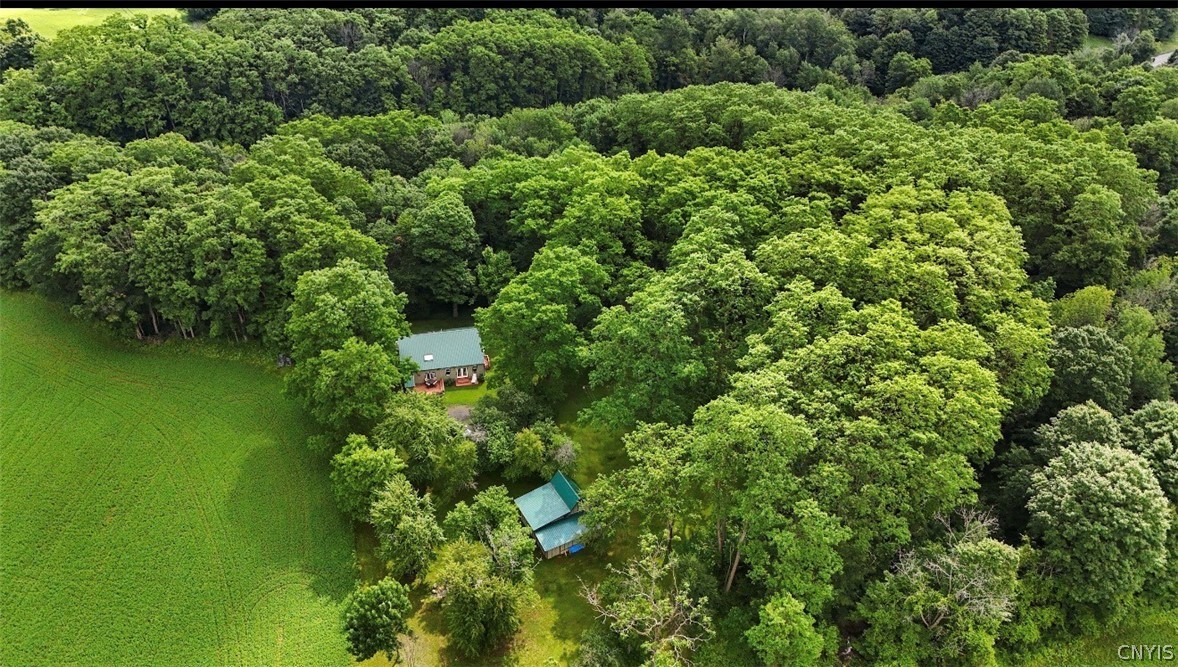 6128 Fearon Road Eaton, NY 13409 - Photo 41 of 46