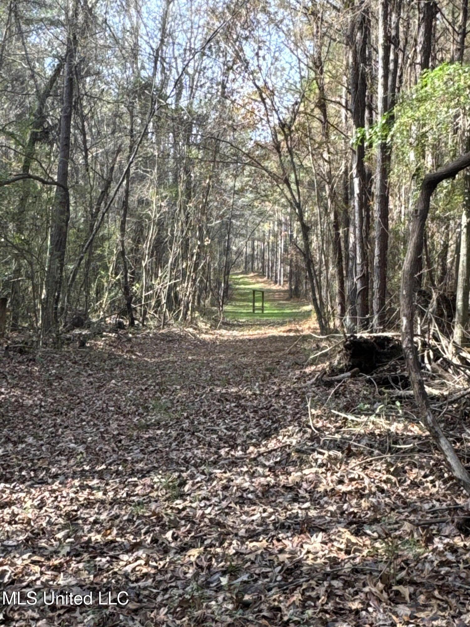 3 Whiddon Road Canton, MS 39046 - Photo 20 of 45 IMG_1622
