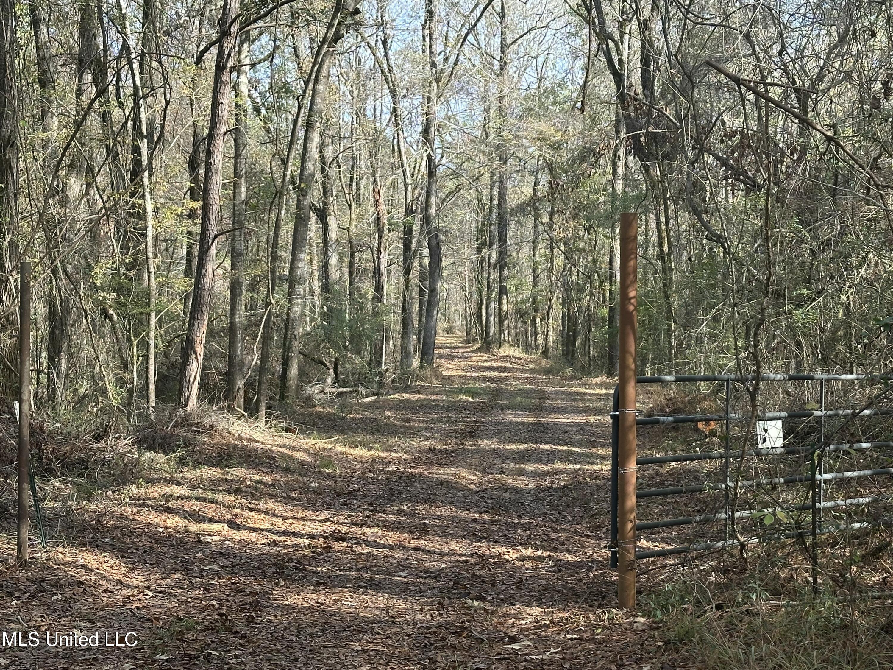 3 Whiddon Road Canton, MS 39046 - Photo 2 of 45 IMG_3877