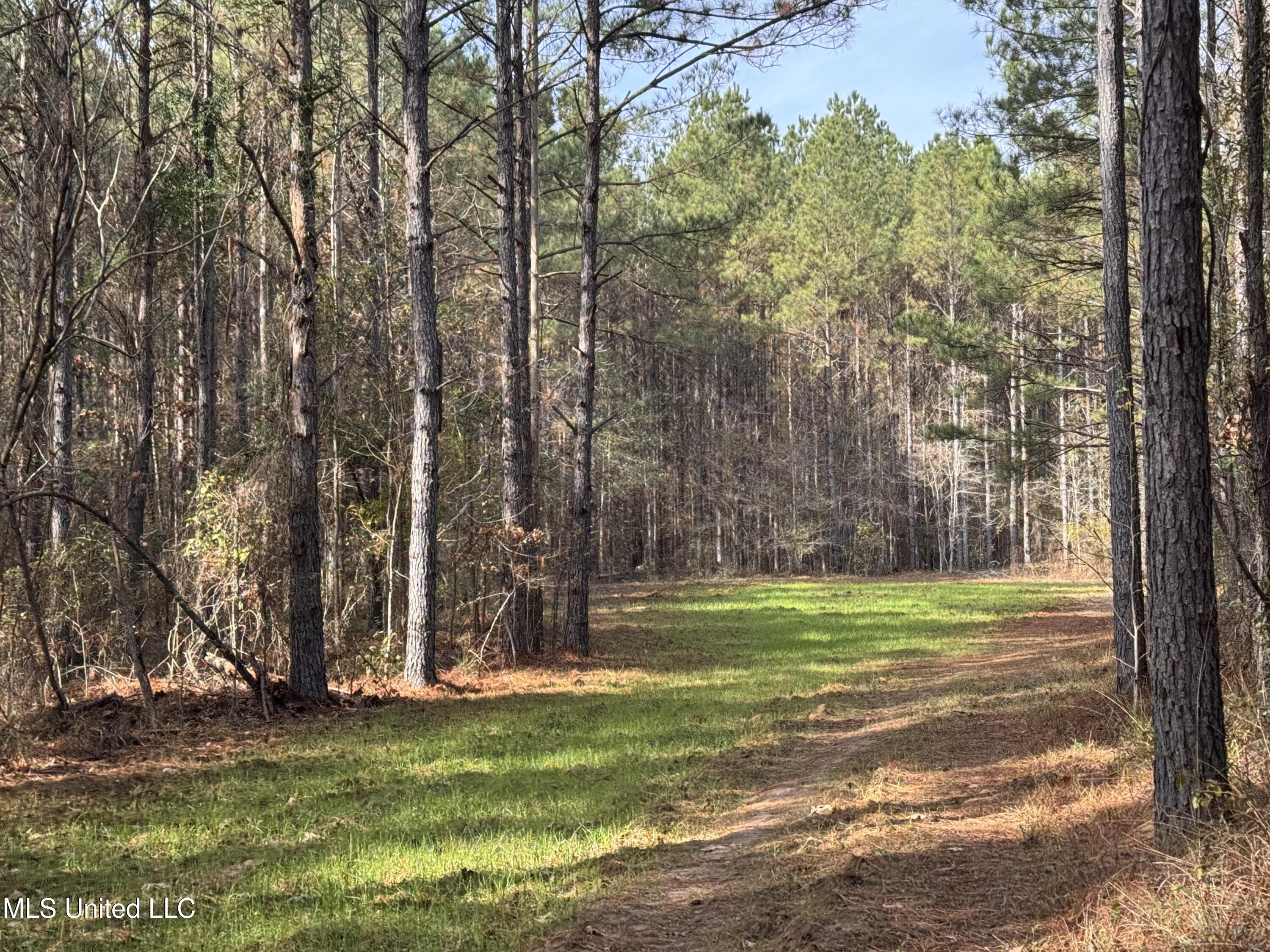 3 Whiddon Road Canton, MS 39046 - Photo 25 of 45 IMG_1633