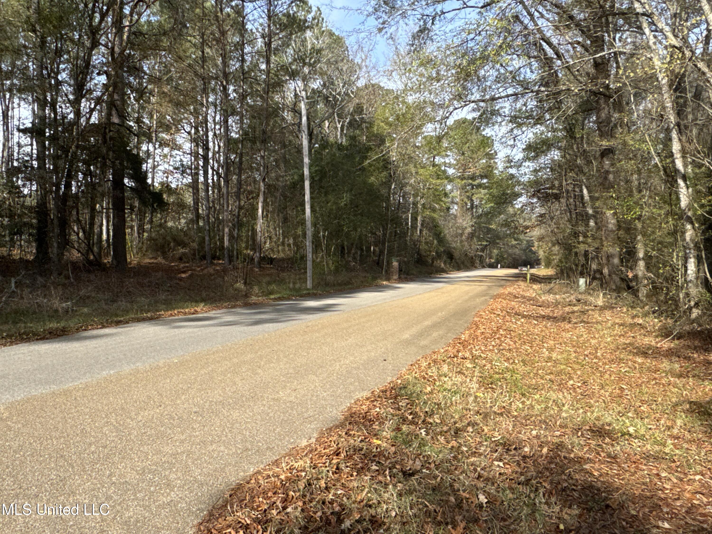 3 Whiddon Road Canton, MS 39046 - Photo 45 of 45 IMG_1653