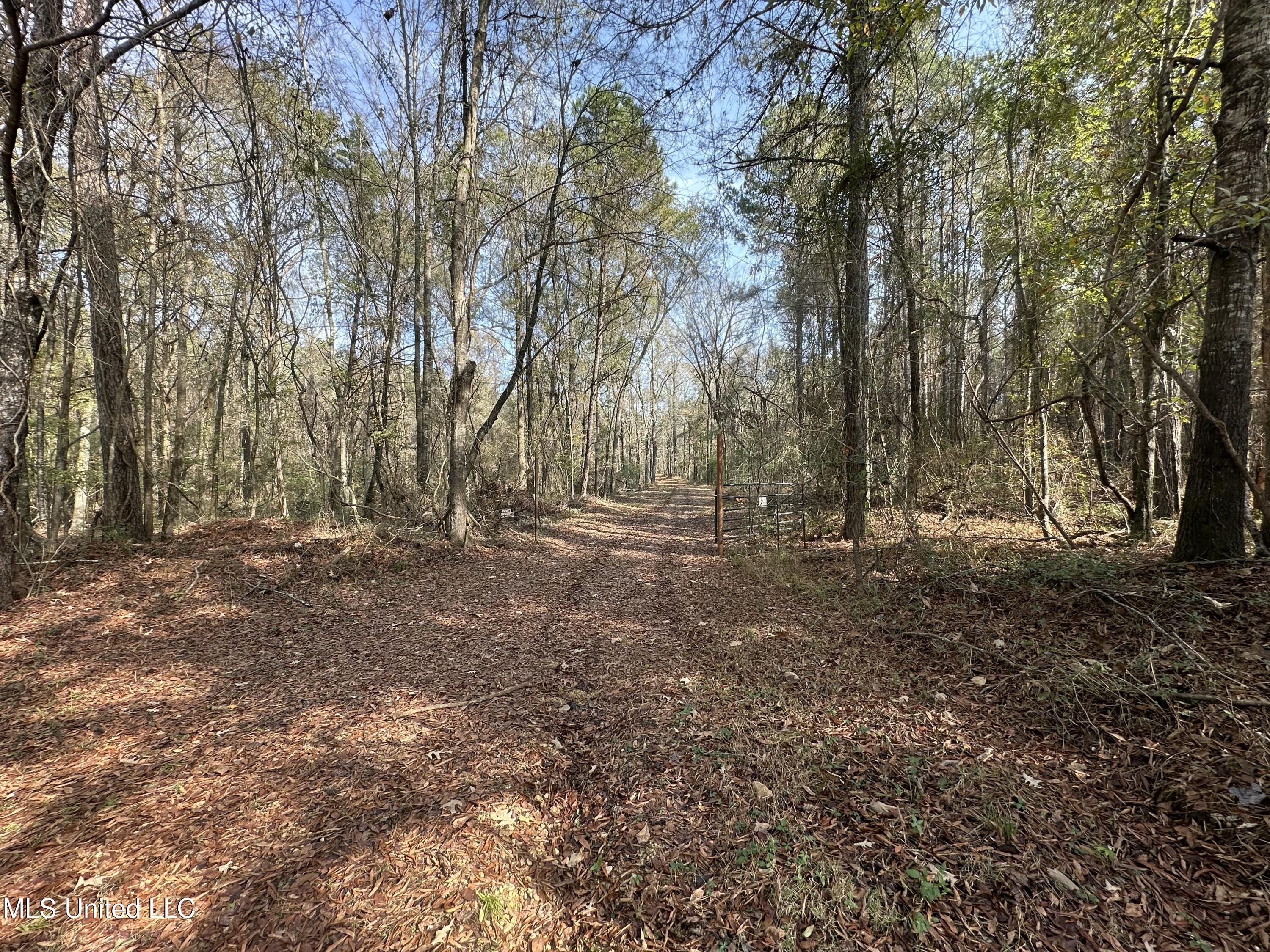 3 Whiddon Road Canton, MS 39046 - Photo 6 of 45 IMG_3875