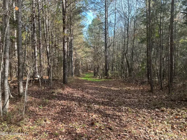 $368,125 | 3 Whiddon Road, Canton, MS 39046
