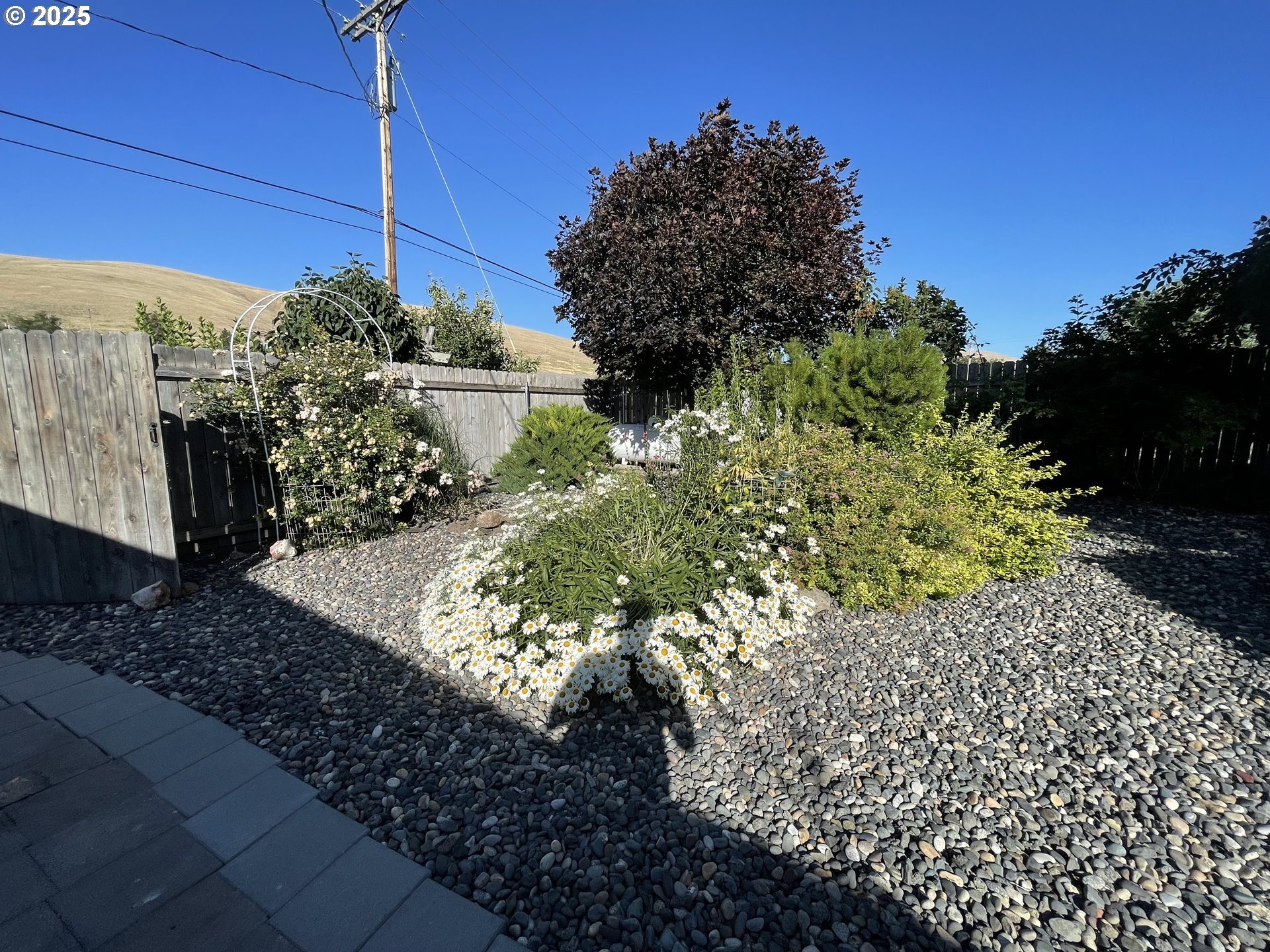 440 West Riverside Street Heppner, OR 97836 - Photo 18 of 22 a view of a yard with plants
