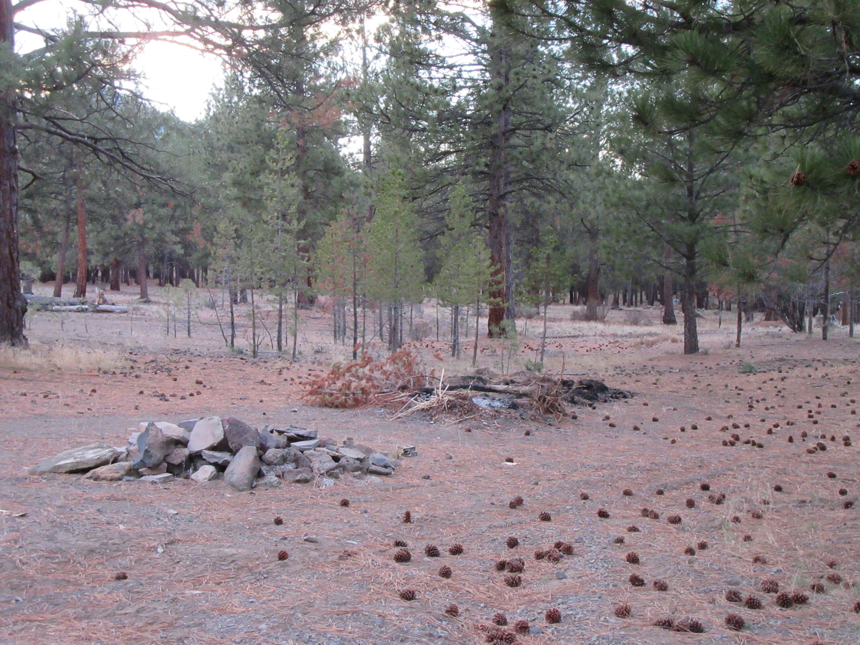 16144 Sprague River Road Chiloquin, OR 97624 - Photo 70 of 80 More of land 1