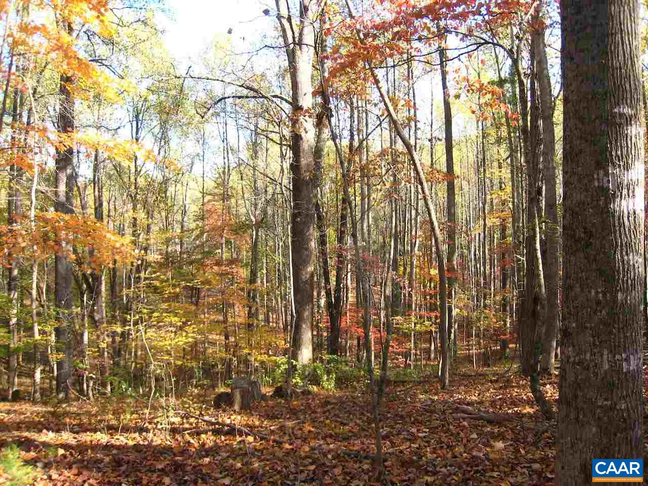 Castle Rock Road Afton, VA 22920 - Photo 2 of 7 a view of outdoor space and garden
