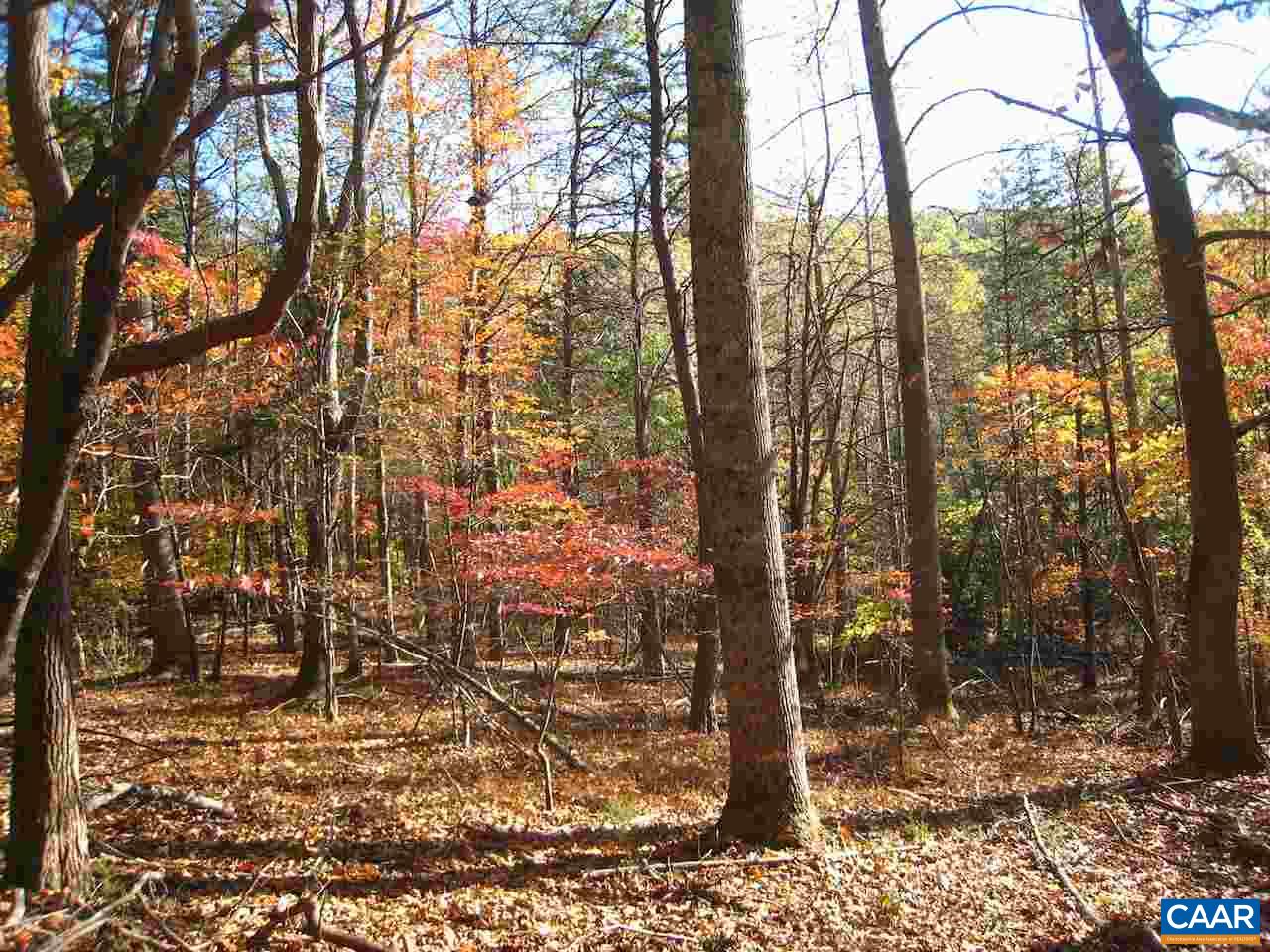 Castle Rock Road Afton, VA 22920 - Photo 5 of 7 a view of a forest