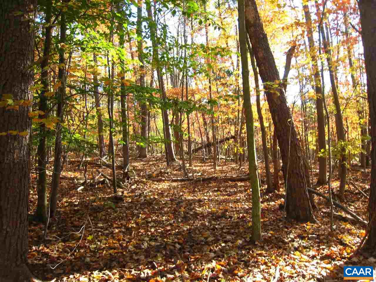 Castle Rock Road Afton, VA 22920 - Photo 6 of 7 a view of yard