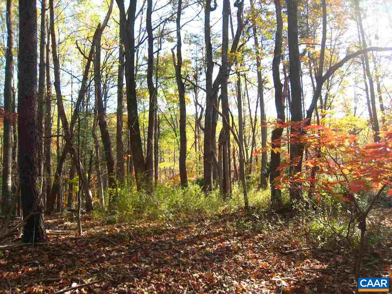 Castle Rock Road Afton, VA 22920 - Photo 7 of 7 a backyard of a house with lots of green space