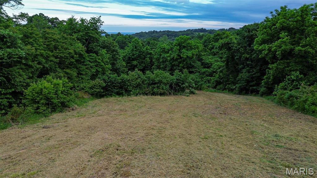 2251 Plummer Hill Road Hardin, IL 62047 - Photo 3 of 10