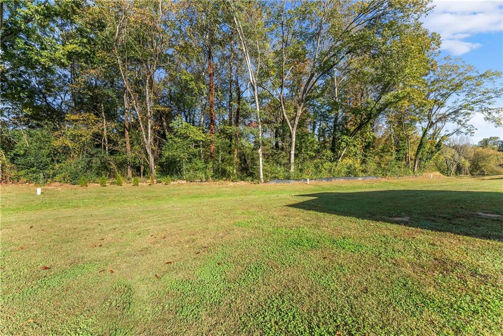230 Campbell Street Cleveland, GA 30528 - Photo 31 of 37 a view of a field with trees