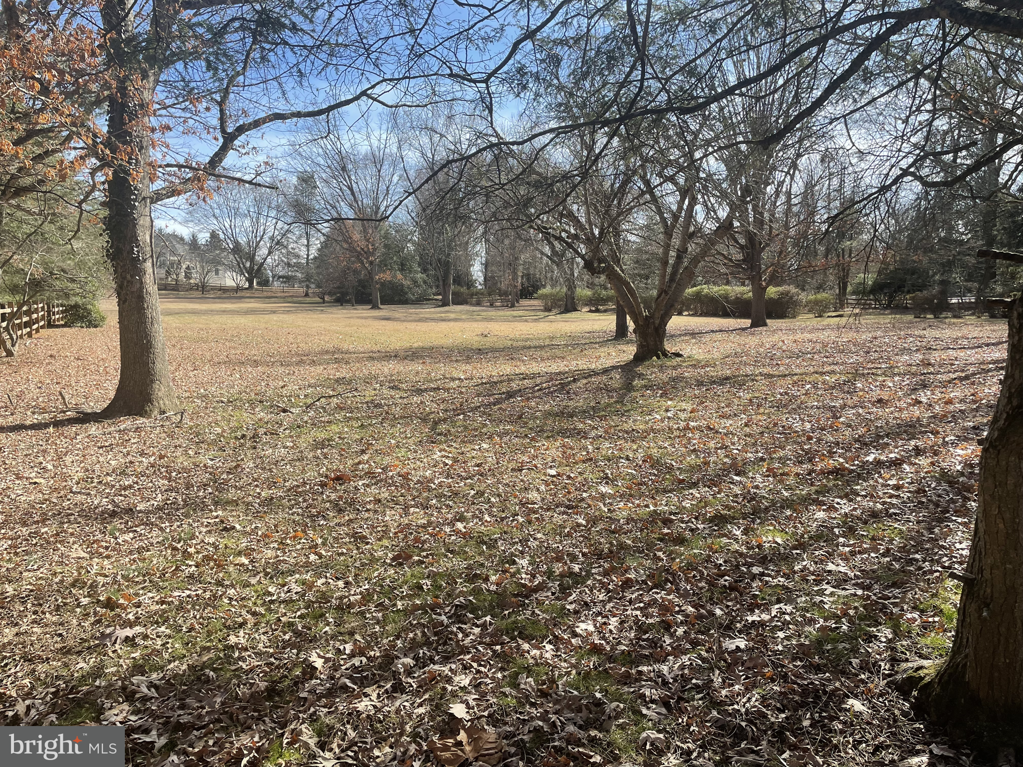 3910 Centerville Road Wilmington, DE 19807 - Photo 2 of 10 a view of outdoor space with trees