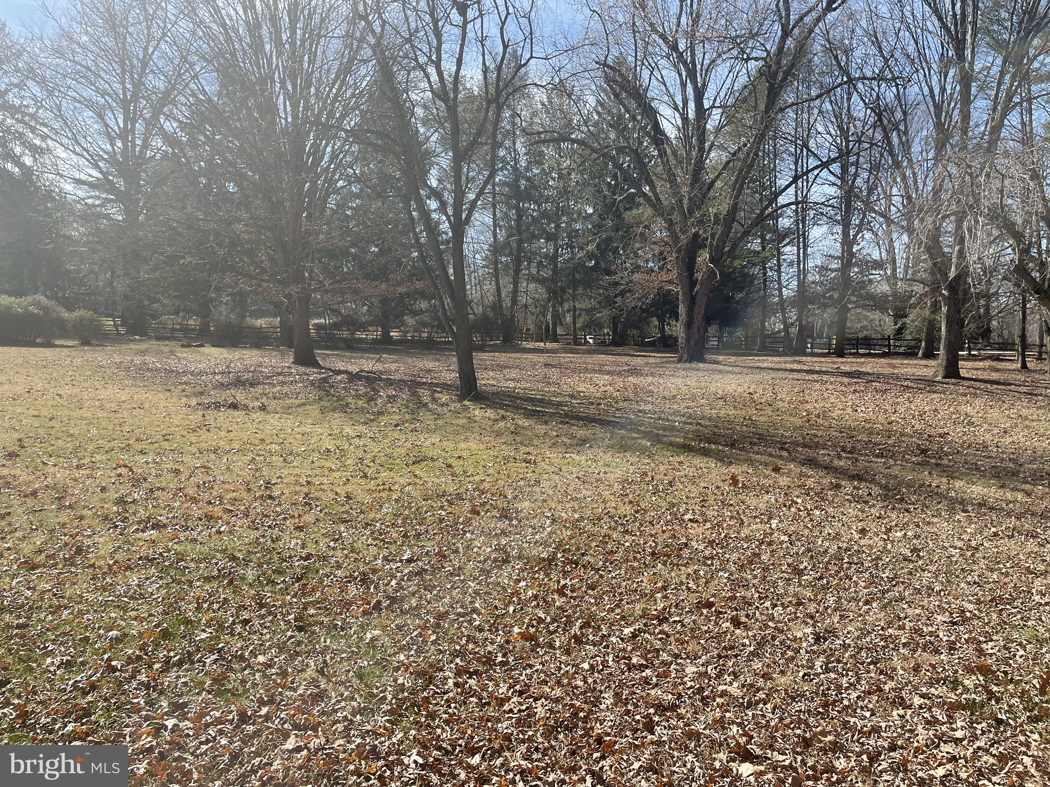 3910 Centerville Road Wilmington, DE 19807 - Photo 3 of 10 a view of a yard with a tree