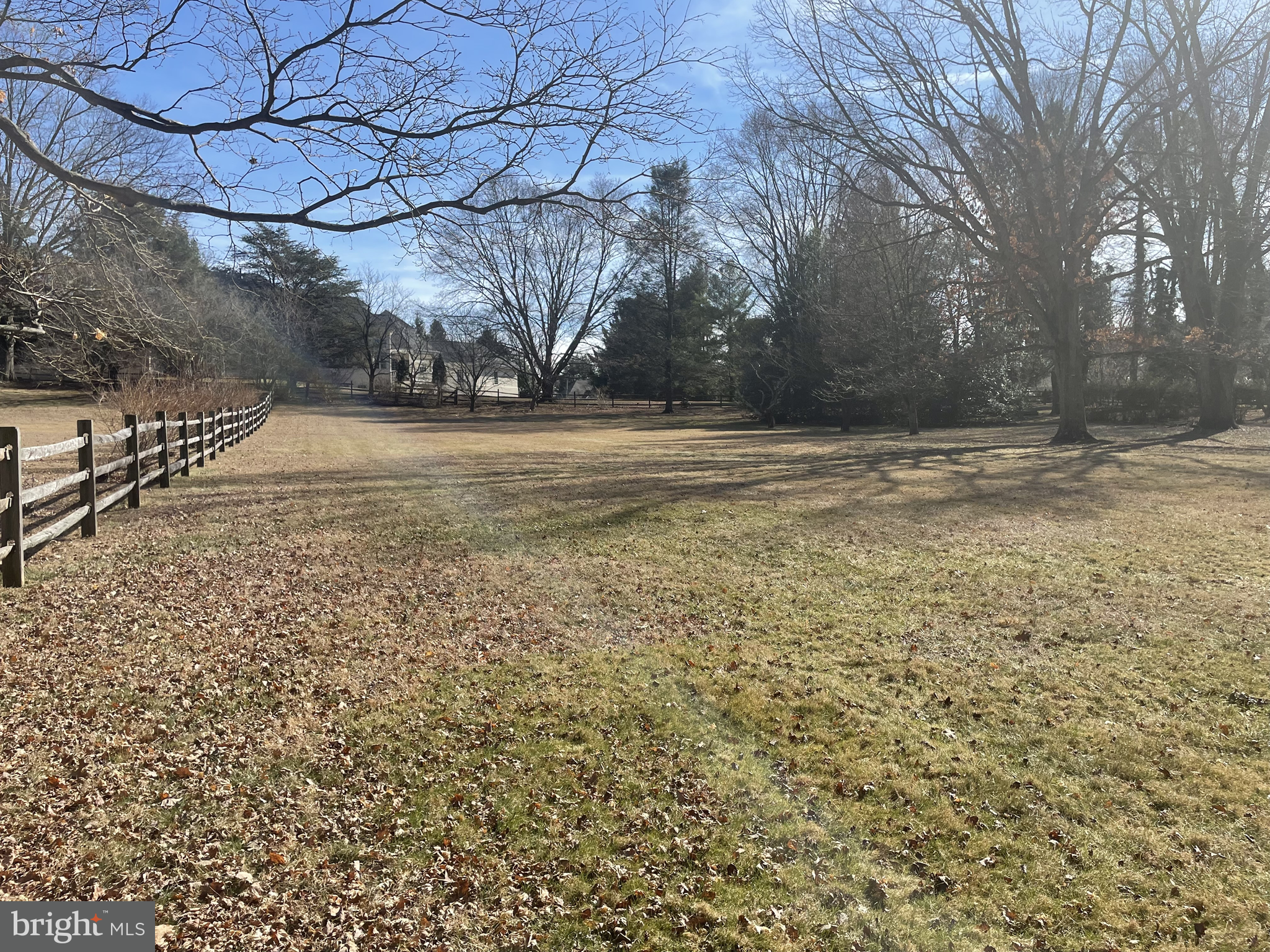 3910 Centerville Road Wilmington, DE 19807 - Photo 4 of 10 a view of a yard with a tree