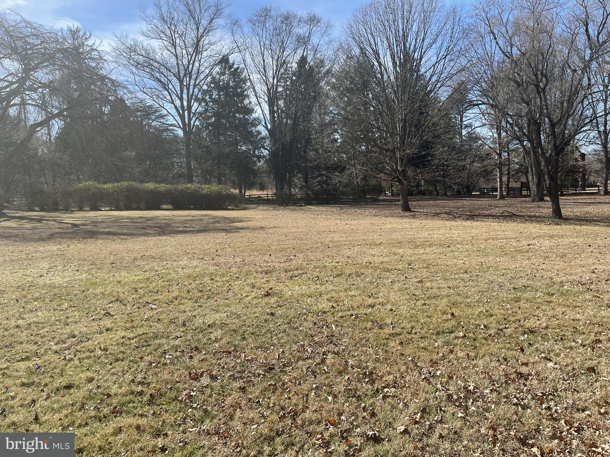 3910 Centerville Road Wilmington, DE 19807 - Photo 5 of 10 a view of a yard with trees