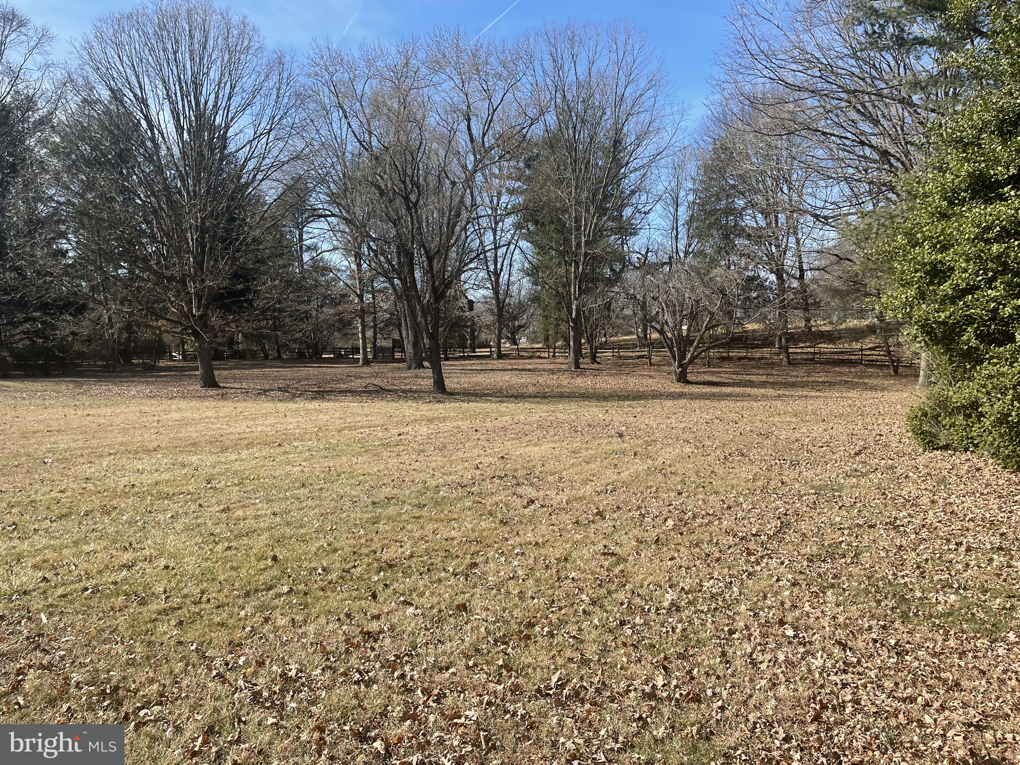 3910 Centerville Road Wilmington, DE 19807 - Photo 6 of 10 a view of yard with trees