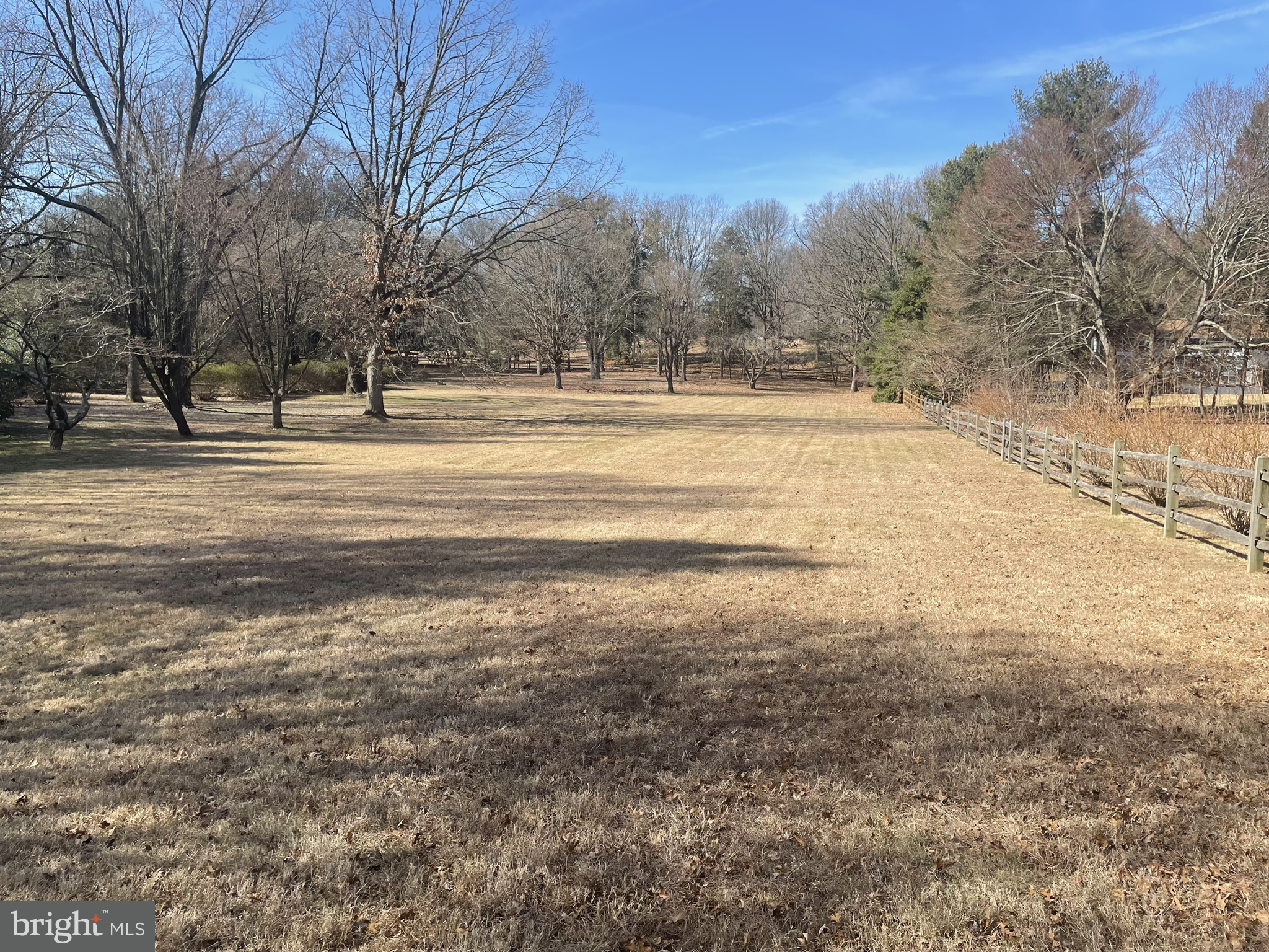 3910 Centerville Road Wilmington, DE 19807 - Photo 7 of 10 a view of yard with trees