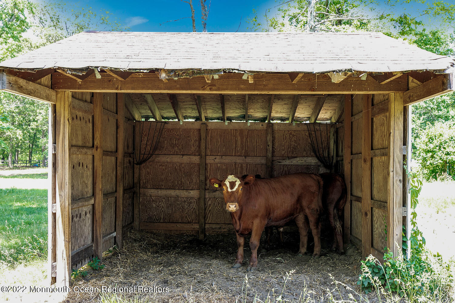 104 Peskin Road Farmingdale, NJ 07727 - Photo 8 of 54 104 peskin Farmingdale NJ-large-057-041-