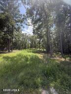 190 Paige Point Road Seabrook, SC 29940 - Photo 10 of 11 20260713150012758684000000