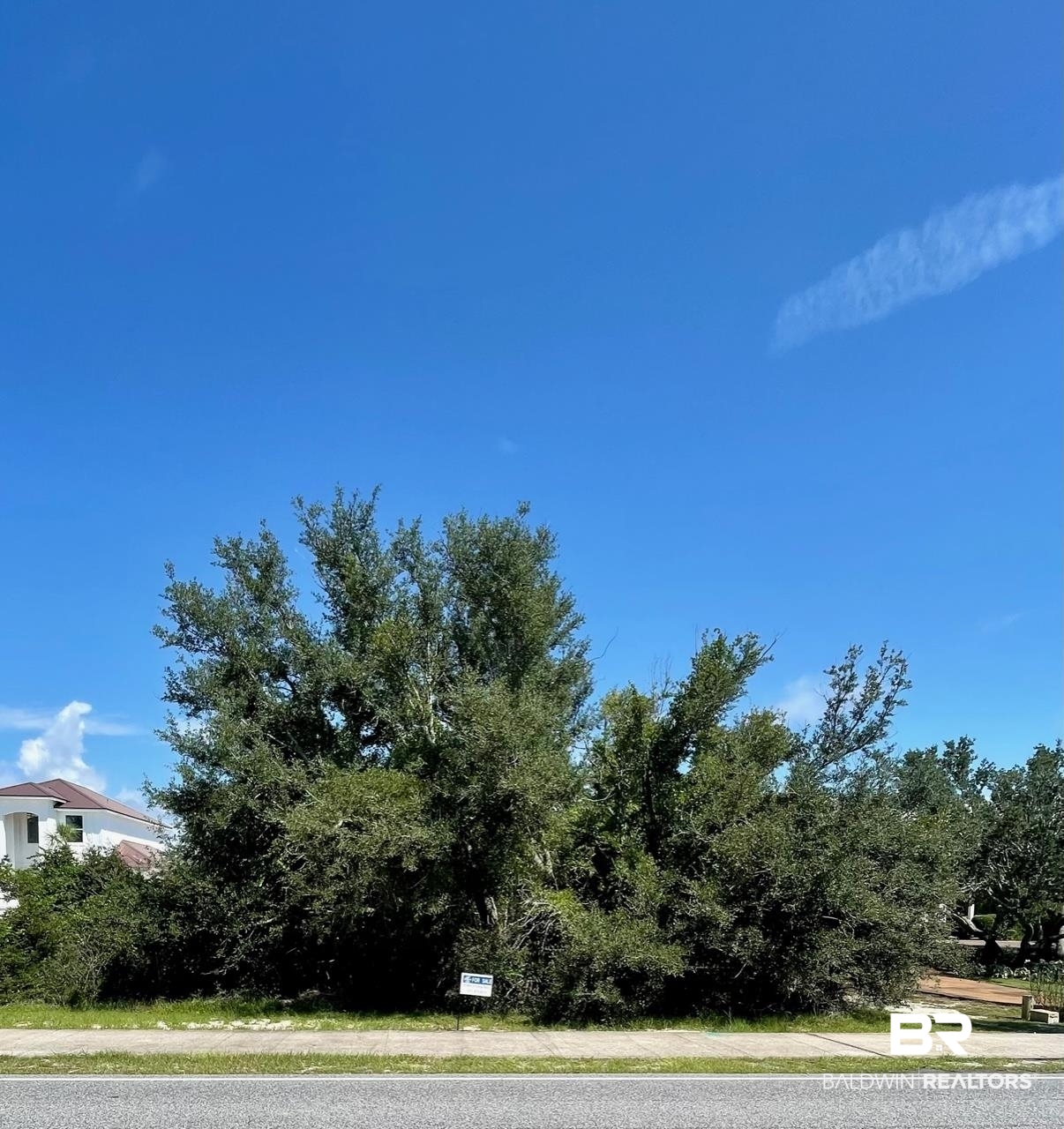 Lot 123 River Road Orange Beach, AL 36561 - Photo 3 of 10
