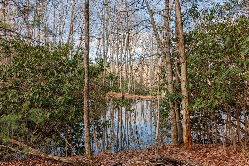 922 Ridgeview Road Northwest, Unit 4160 Floyd, VA 24091 - Photo 19 of 37 Gallery Image 19