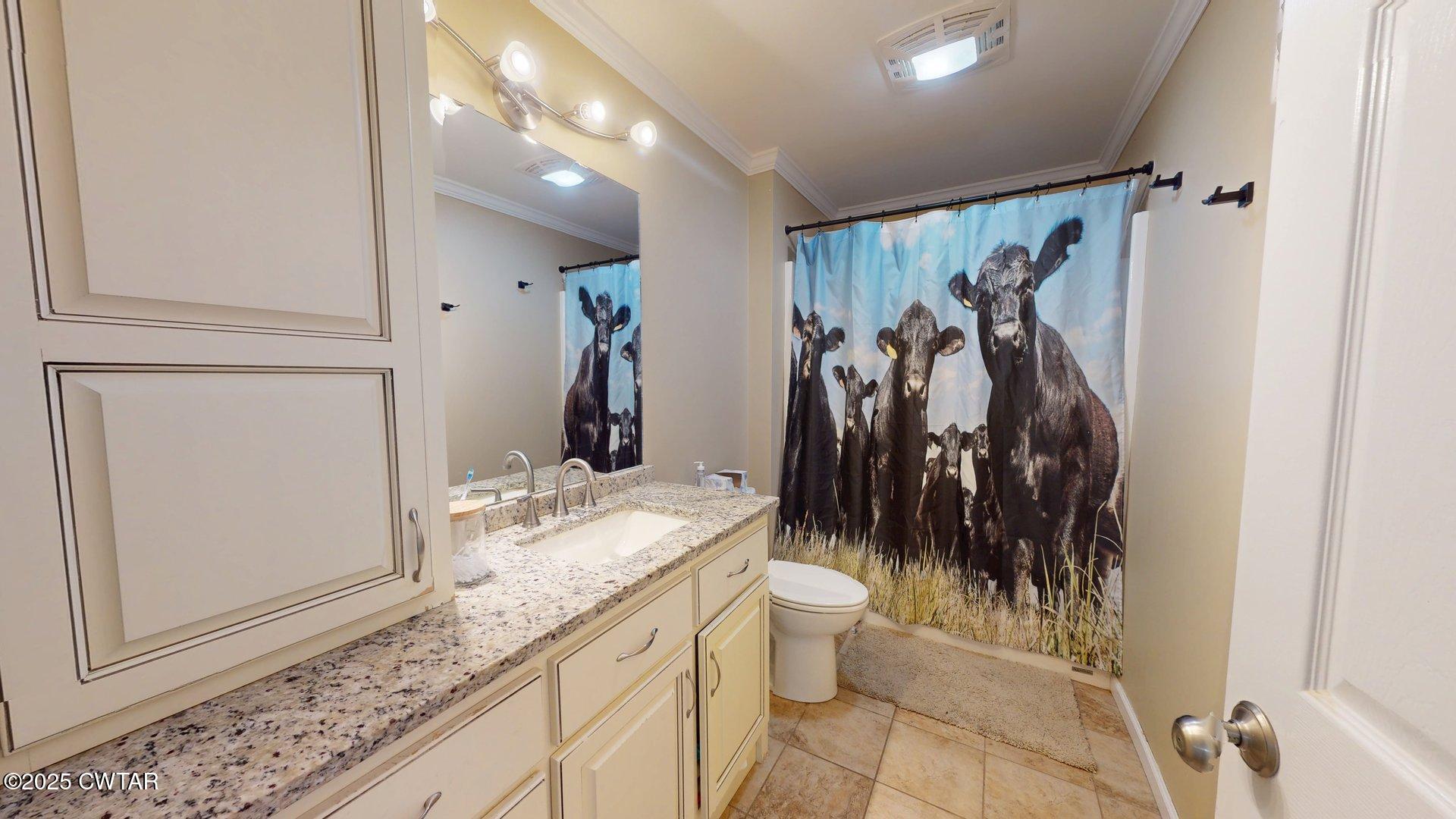 968 Cherokee Road Halls, TN 38040 - Photo 15 of 20 a bathroom with a granite countertop sink and a mirror