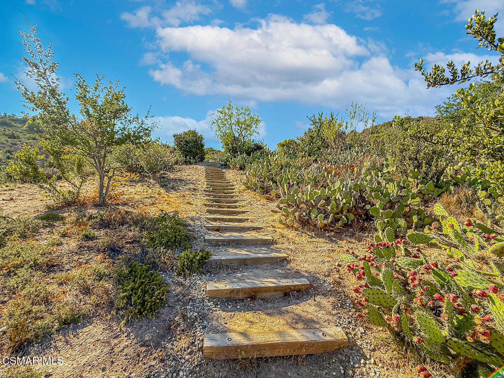 4224 Shawnee Street Moorpark, CA 93021 - Photo 41 of 42