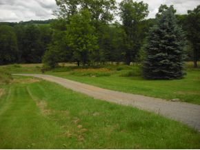 597 Linaberry Road Montrose, PA 18801 - Photo 9 of 15