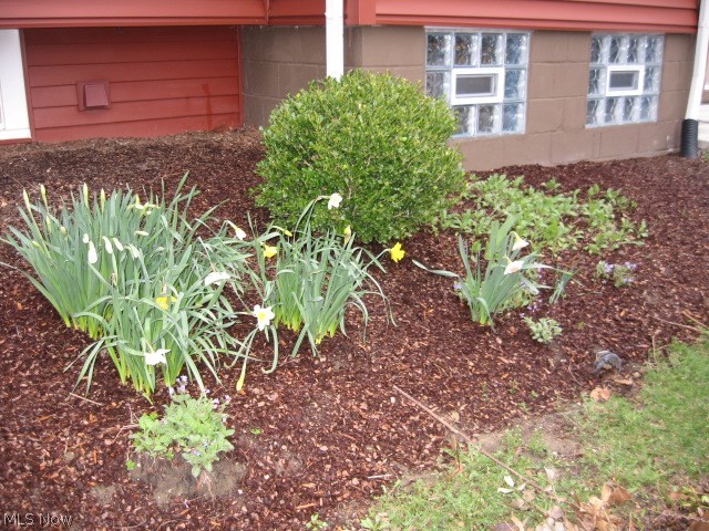 1657 Betz Road Akron, OH 44306 - Photo 20 of 34 SPRNG FLOWERS - - - - - - -