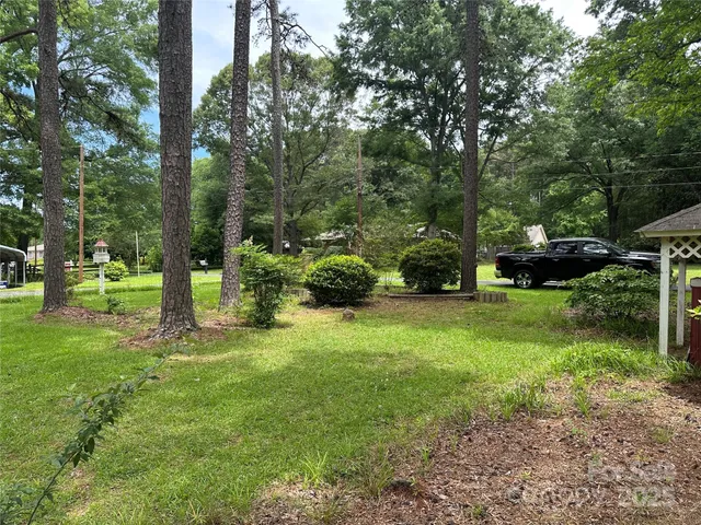 a view of a park with large trees