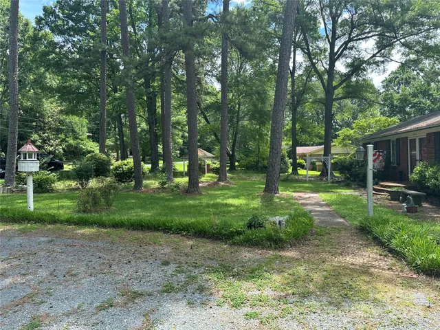 a view of backyard with green space