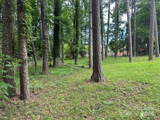 a view of outdoor space and garden