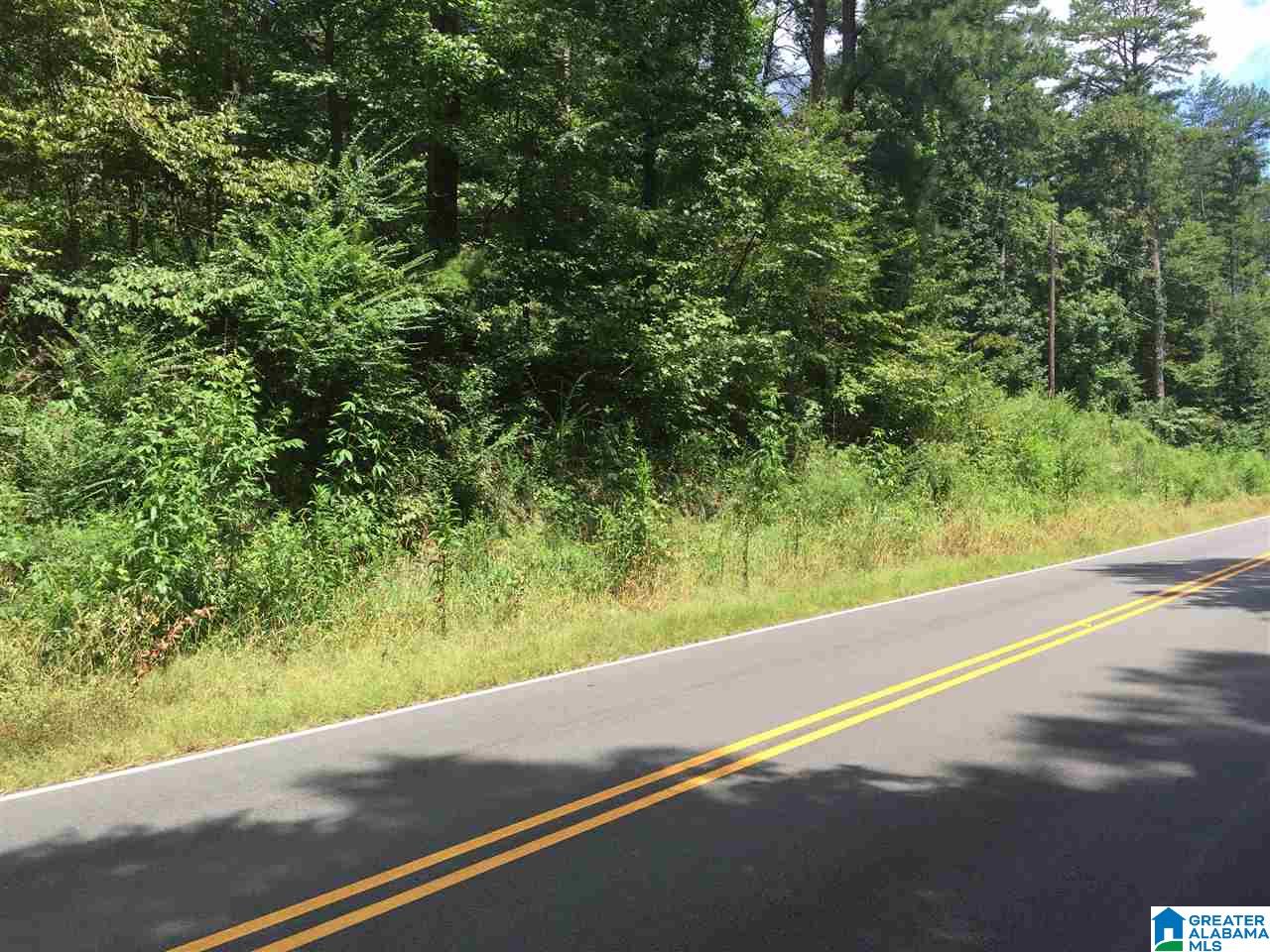0 Old Springville Road, Unit 2 Pinson, AL 35126 - Photo 3 of 8