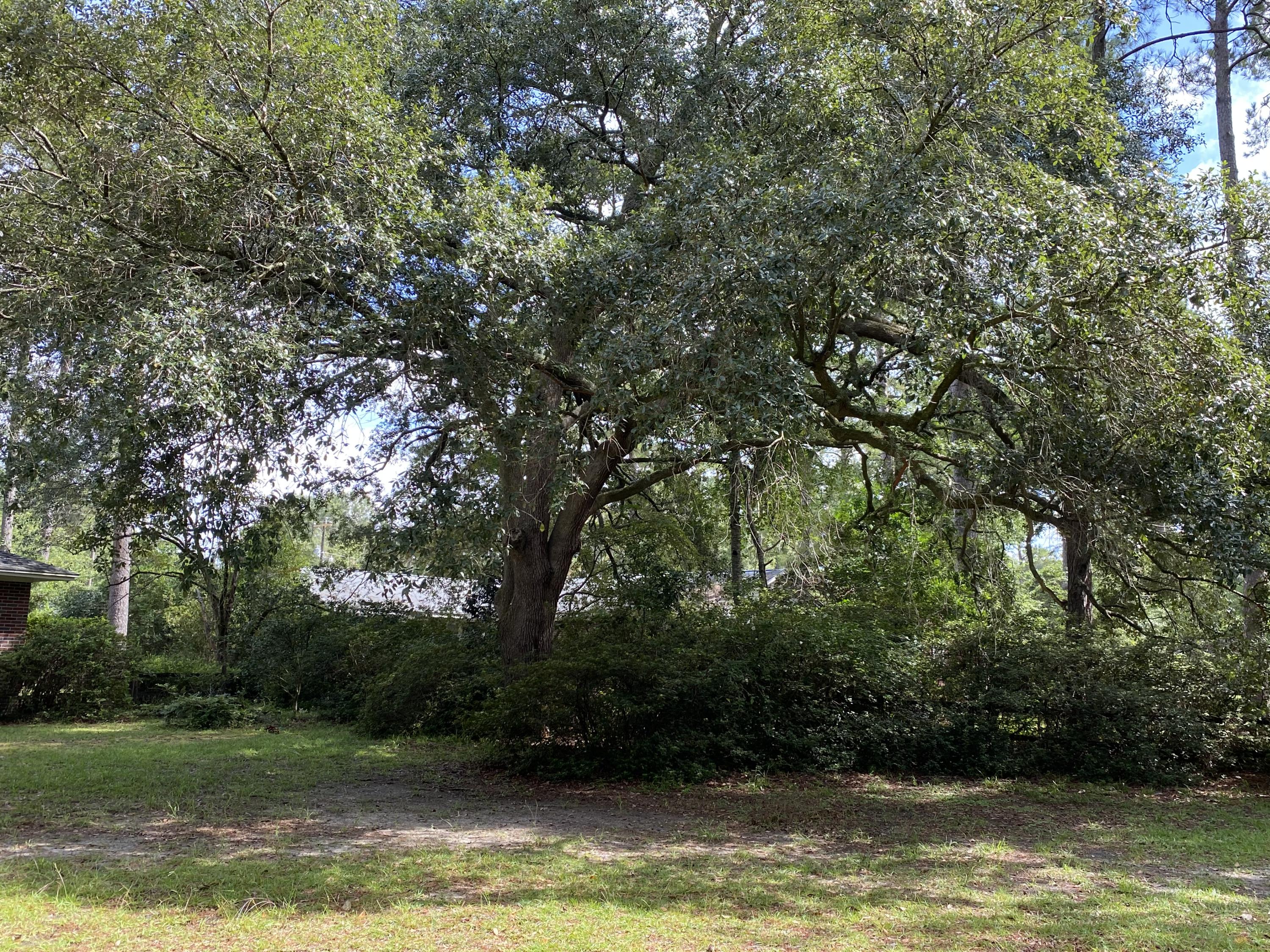 215 Pineland Road Walterboro, SC 29488 - Photo 23 of 26 IMG_5403