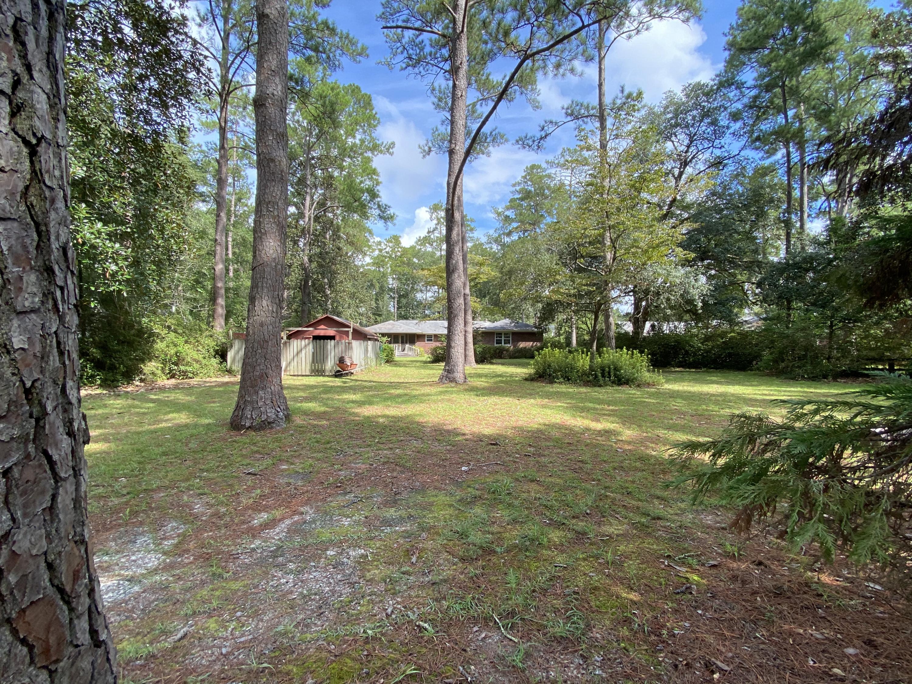 215 Pineland Road Walterboro, SC 29488 - Photo 24 of 26 IMG_5400