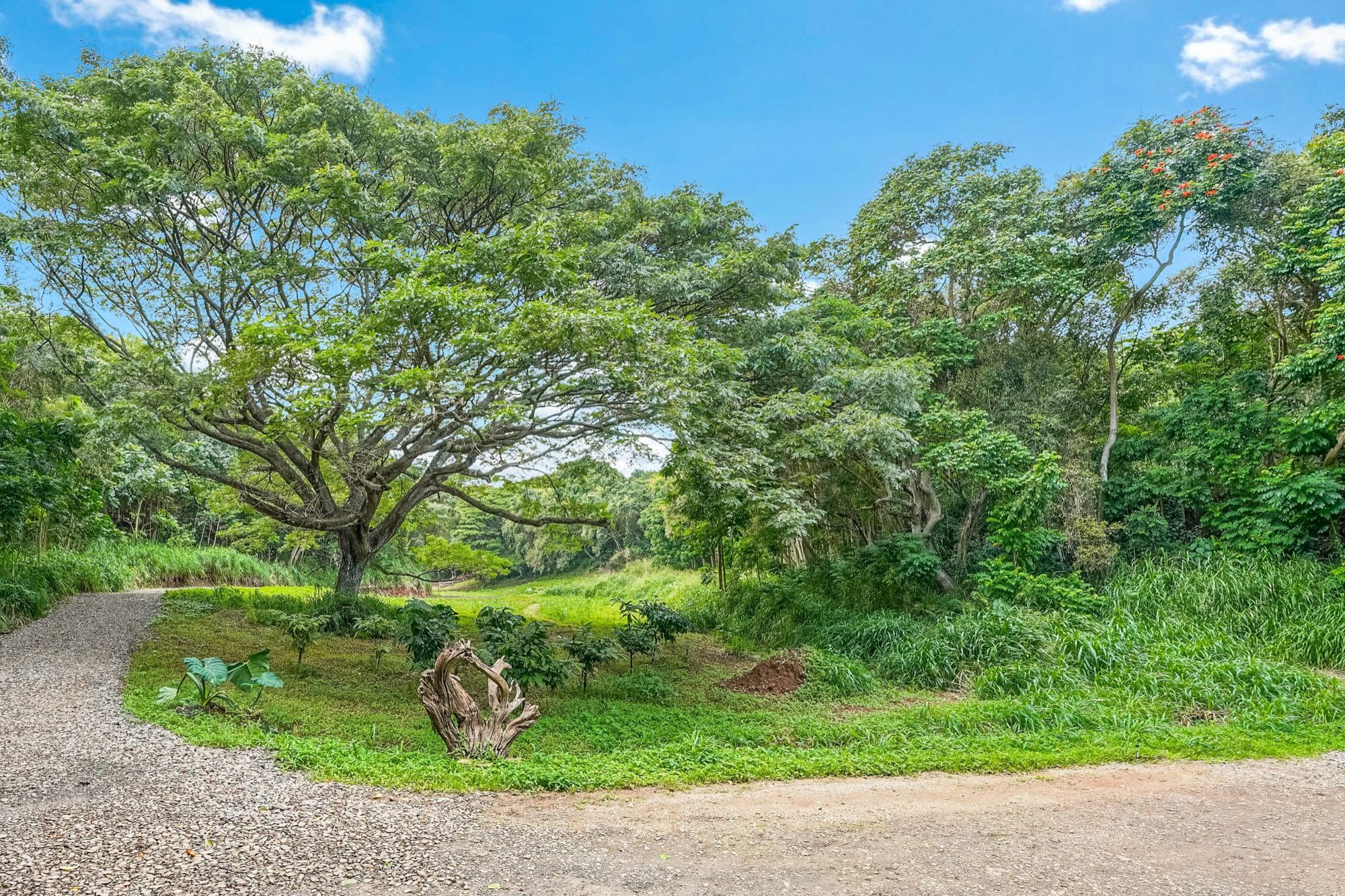 5409 Lot 2 Laipo Road, Unit 2 Kapaa, HI 96746 - Photo 4 of 18