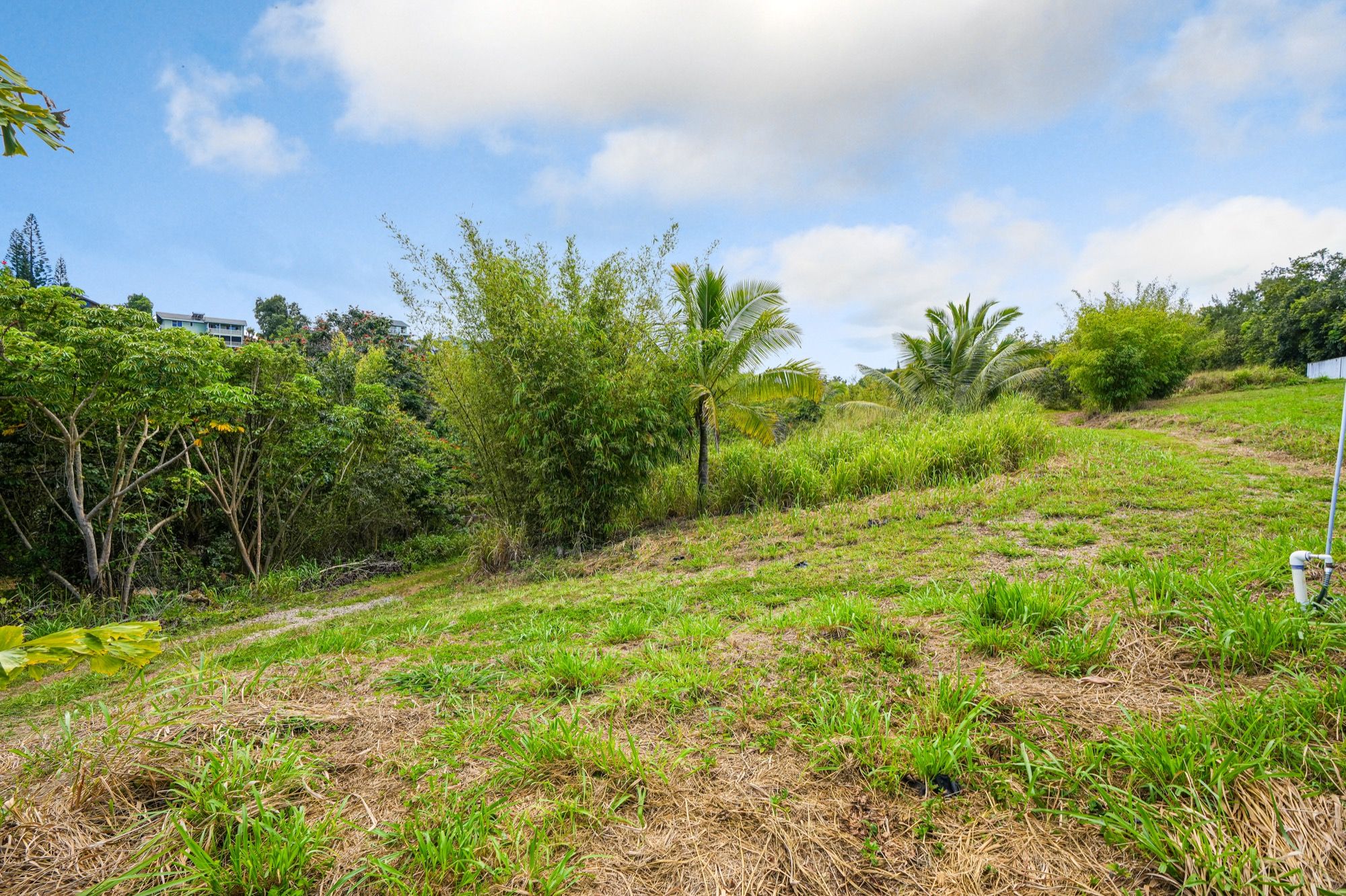 5409 Lot 2 Laipo Road, Unit 2 Kapaa, HI 96746 - Photo 6 of 18