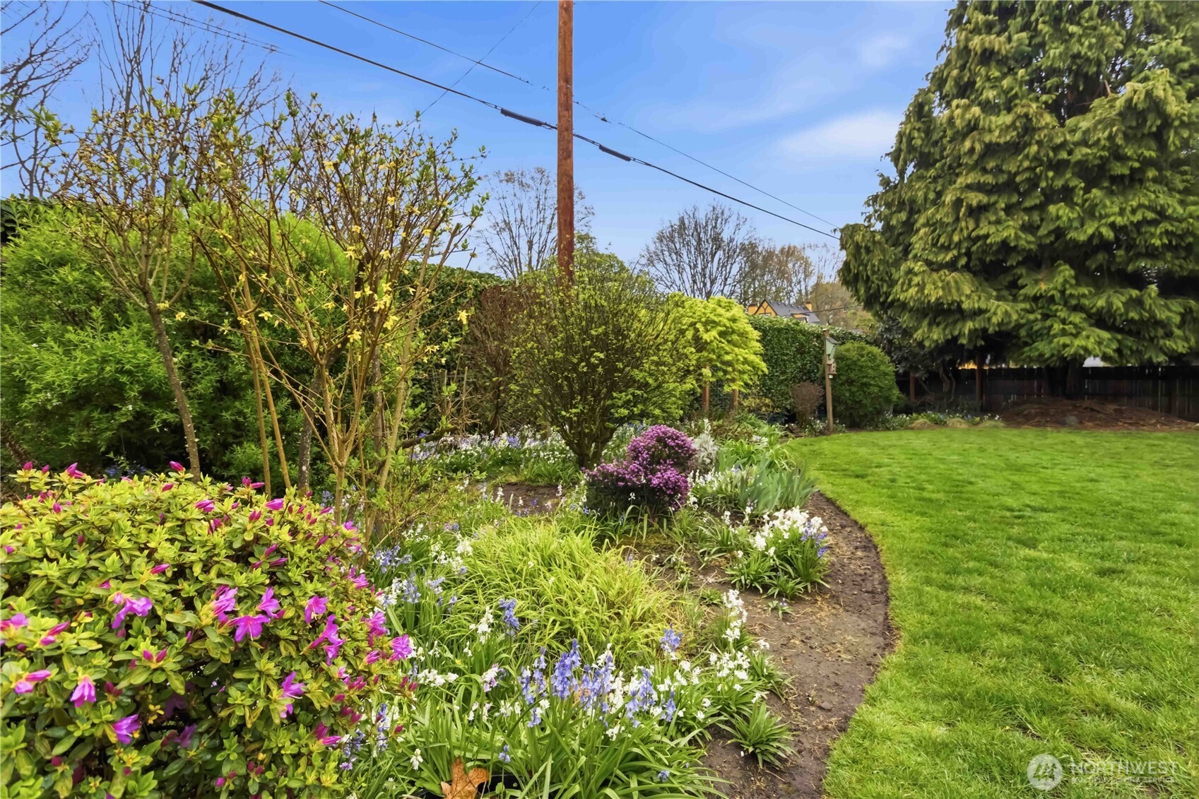 1306 23rd Avenue Longview, WA 98632 - Photo 32 of 40 a backyard of a house with lots of green space and trees all around