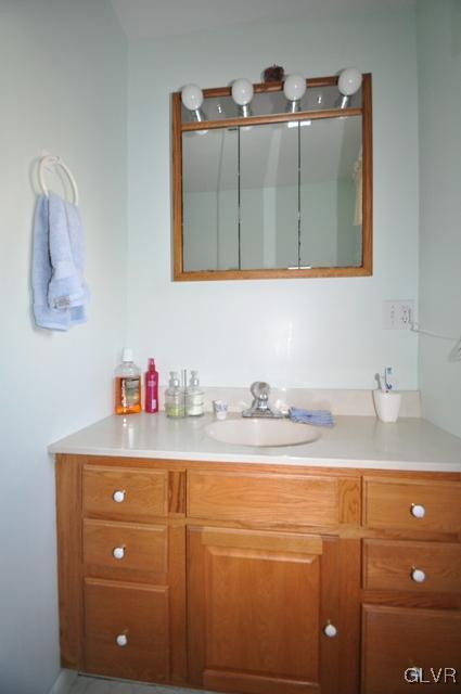 369 Timber Hill Road Henryville, PA 18332 - Photo 13 of 21 a bathroom with a sink and a mirror
