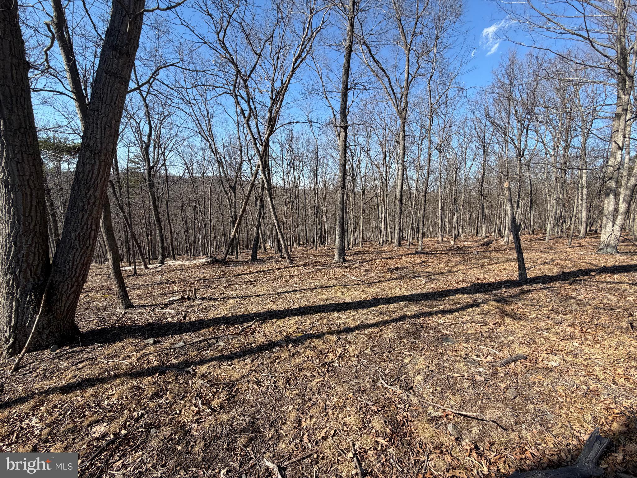 Goldsborough Road Springfield, WV 26763 - Photo 15 of 18