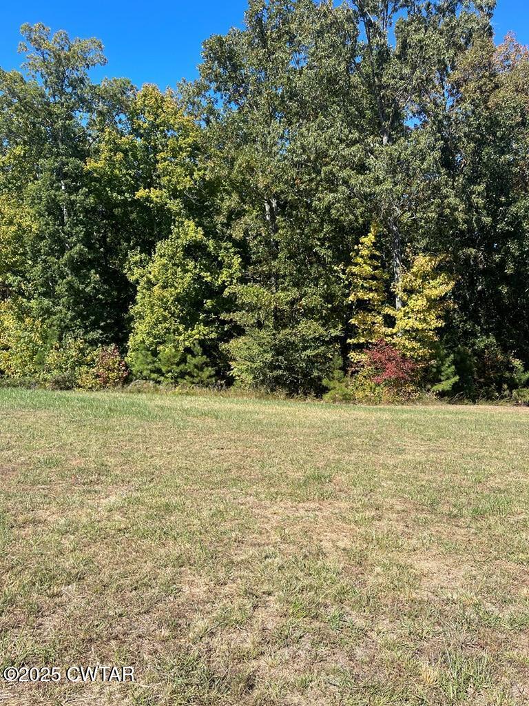 Lot 103 Southern Shores Point Huntingdon, TN 38344 - Photo 2 of 5 a view of yard with green space