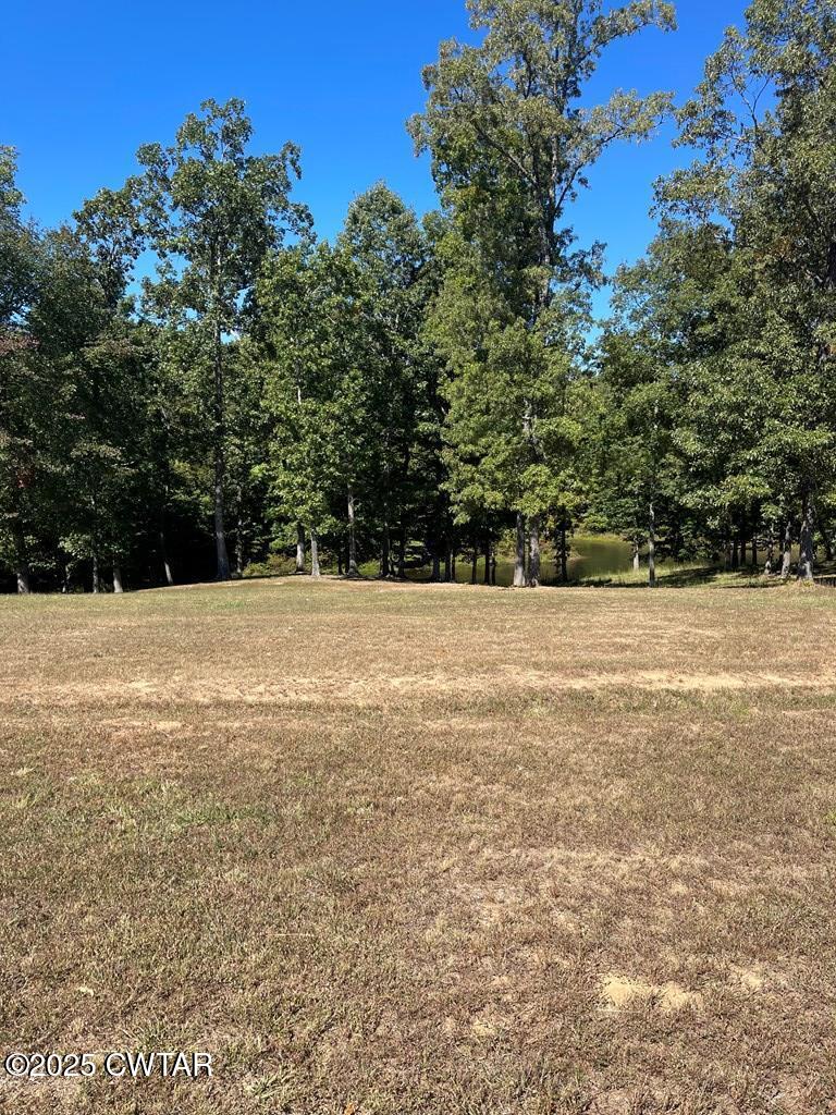 Lot 103 Southern Shores Point Huntingdon, TN 38344 - Photo 4 of 5