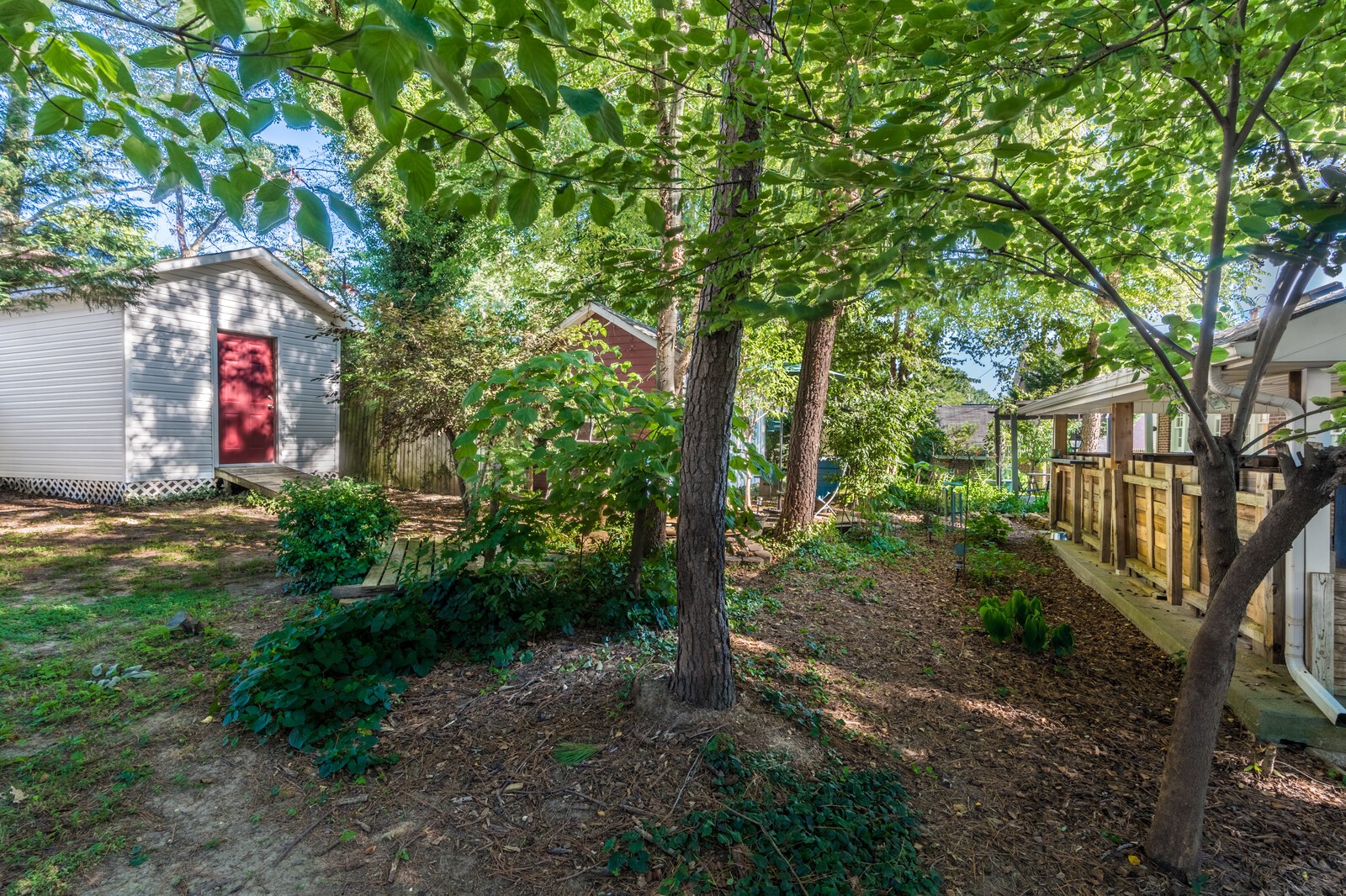 410 Connell Street Springfield, TN 37172 - Photo 9 of 24 a picture of trees
