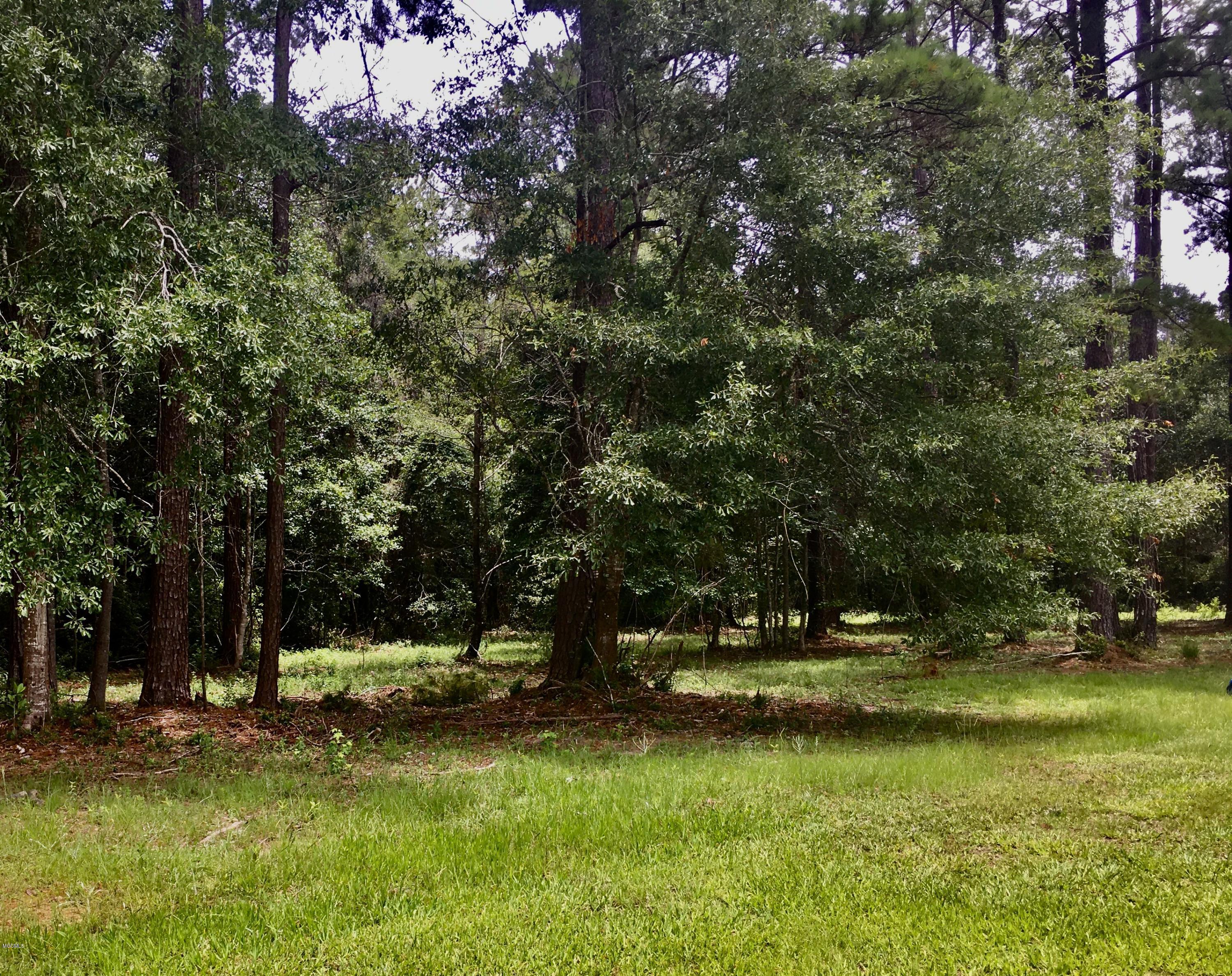 0 Whetstone Road Diberville, MS 39540 - Photo 4 of 6 5