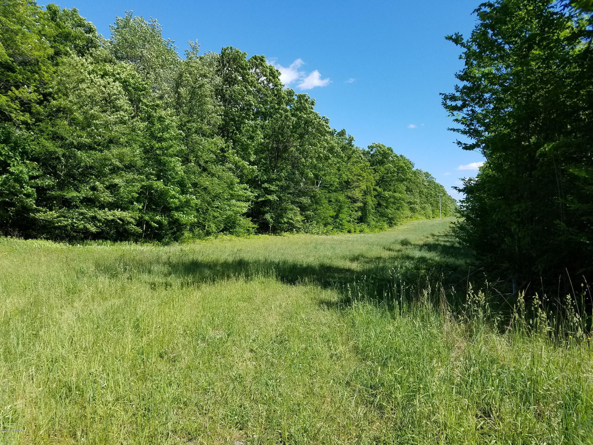 Columbia Lake Road Deposit, NY 13754 - Photo 3 of 5